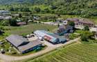 Crama premium de VANZARE -60 HA- CONAC ISTORIC- Podgoria Dragasani - 9