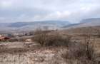 Vand teren intravilan Petrestii de Jos - 2