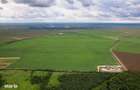 Teren arabil de 1080 hectare in Tulcea - 3