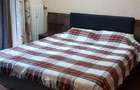 2 camere Ultracentral Sinaia - 3