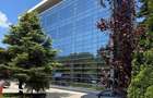 Spa?iu comercial/birouri de inchiriat 193 mp Parter Baneasa - 2