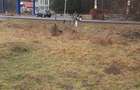 Teren in Slanic Moldova,One?ti ?i Poiana Sarata