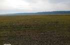 Teren extravilan 635 mp Harsesti, ID: R2922302 - 9