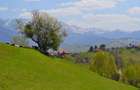 Teren Magura Moieciu cu panorama de exceptie - 2