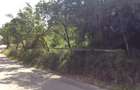 Teren de vinzare in Cheia(Olanesti) - 5