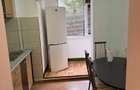 Apartament 2 camere, Parter, Banat, Renovat - 5