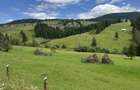 Teren de vanzare la munte in Bucovina