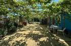 Casa Cocheta, Locuibila imediat, cu Gradina si Curte,1500mp., Com.Bir - 3