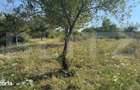 Teren extravilan, de vanzare, 1.500 mp, zona Valea Ghinzii-strada Palt - 5