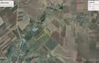 Vanzare Inchiriere teren pa?une 59 Ha-Ideal Parc Energetic