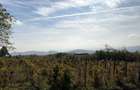 Teren intravilan 1183 mp Com.Jugureni sat Marginea Padurii