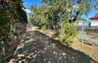 Casa 140 mp, teren 2.453 mp, toate utilitatile acces direct la DN7 - 3