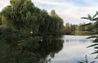 Balta Pescuit cu cabana / Afacere la cheie