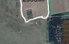 Proprietar Ofer Spre Vanzare Teren Agricol in BUZIAS - 1