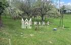 Teren Intravilan | 855 MP | Sali?te - 2