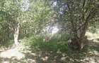 Teren intravilan 2000m2 proprietar - Prahova CORNU DE JOS centru - 2