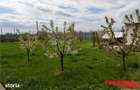 Pensiune + 4,7 Ha teren E85 Roman - Neamt - Afacere la cheie - 8