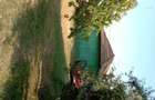 Vand casa Rebricea Jud Vaslui - 3