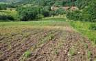Vand teren intravilan in localitatea Cristorel - 1