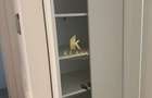 Apartament 2 camere | The Level | Straulesti | Parcare | Prima inchiriere - 15