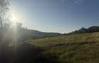 Vand teren in sat Sardu - 3