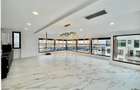 SPATII GENEROASE/PENTHOUSE CU GARDEN FLOOR/ 372 mp utili/PORSCHE NORD