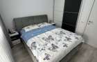 Casa insiruita, 3 camere, terasa, curte, mobilata, utilata, Sebes - 3