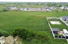Loc de casa - 799 m2 pe strada Caprioarei | Satu Mare - 3