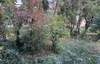 Apartament cu 2 camere,Gemenii