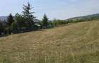 Teren Agapia 4270mp - platou - 4
