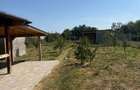 Casă de vânzare în Diniaș | Teren 1.460 mp | Construcție 2023 | Comple