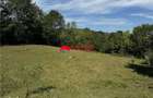 TEREN INTRAVILAN DE VANZARE IN POIANA CAMPINA | 3.526 M - 14