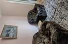 Inchiriere apt 2 D vis-a-vis de Palas - 6