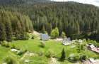Cabane si teren Aframe Vatra Moldovitei - 2