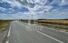 Teren 55.000 mp, front stradal 354 ml, asfalt, Remetea Mare -Ianova. - 3