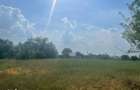 Vanzare teren intravilan Cernica_Tanganu, lot 954mp - 8