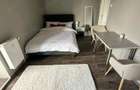 Apartament 1 camera Ultracentral 28 mp - 5
