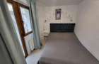 Apartament 2 camere zona Piata Victoriei - 2