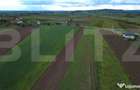 Teren agricol, 5.200 mp, Comuna Sendriceni - 8