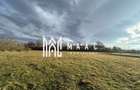 Teren cu potential turistic I Cartisoara I 1800 MP