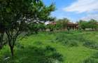 Rasmiresti, Teleorman - 4