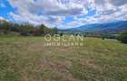 Teren Tocile (parcelabil) 3500 mp - 13