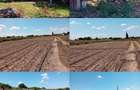 Teren extravilan Adunatii Copaceni, ID: R3345028
