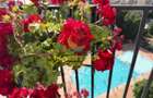 Apartament 2 Camere Complexul Cosmopolis Mobilat Parcare Boxa - 9