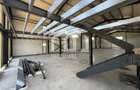 Hala + Birouri 600 mp Echipată | Jucu Industrial | Acces TIR | 3.800€ - 7
