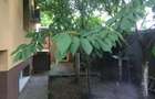 Proprietar vand Vila cu 2 apartamente separate Prelungirea Ghencea - 4
