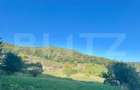 Teren de vanzare, 16 arii, zona Exterior-Nord - Bistrita (Bistrita-Nasaud)