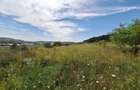 Teren intravilan 5.800 mp, Baciu Vatra Satului Vechi, Panorama superba - 20