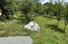 1258 mp, Strada Viilor, Baia Mare, 2 parcele alaturate, 125 000 - 1