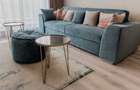 Apartament in inima Padurii Baneasa - 9